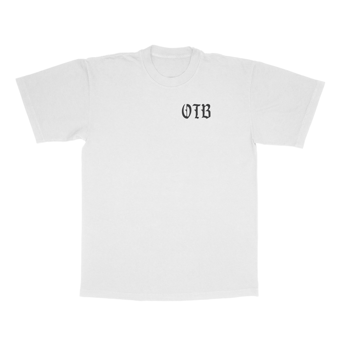 Good Days Bad Days Scripture Tee